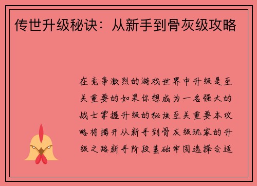 传世升级秘诀：从新手到骨灰级攻略
